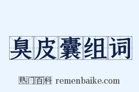 臭皮囊组词是什么意思的图片